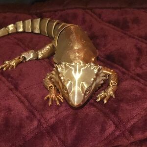 Gold 3D Printed Bearded Dragon